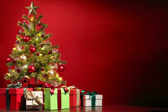 Celebrate Christmas with us!